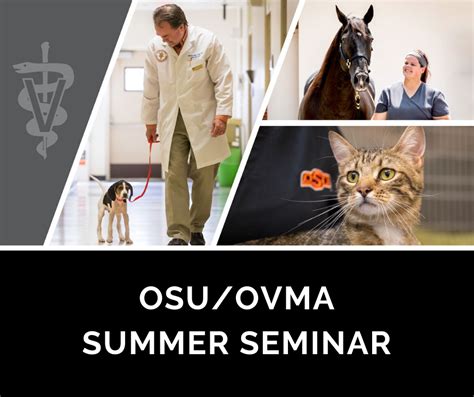 Oklahoma State College Of Veterinary Medicine