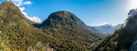 Rainforest Mountains New Zealand Panorama Stock Photo Image Of Alps