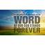 The Invaluable Word Of God  Renewal Christian Center