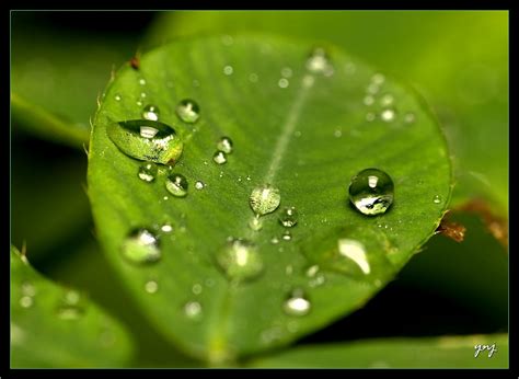 I use only a little aquarium and a pipette to make such shots. 31 Beautiful Water Droplets