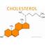 Cholesterol Functions Foods High/Low Charts LDL HDL Total