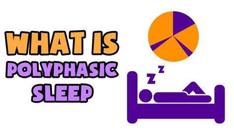 What Is Polyphasic Sleep Explained In 2 Min Youtube