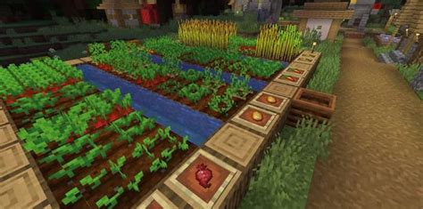 ¿qué Alimentos Se Pueden Sembrar Y Cultivar En Los Huertos De Minecraft