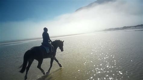Elvis Zf Beach Ride On Beautiful Noordhoek Beach Filmed With Zetronix