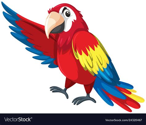 A Colourful Parrot Character Royalty Free Vector Image