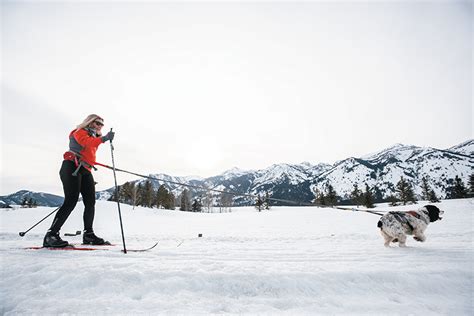 Rules Of Cross Country Skiing With Dogs Guide By