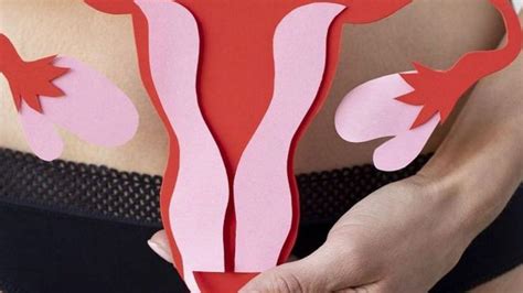 Qué es y cómo se puede tratar el prolapso uterino La Opinión de Murcia