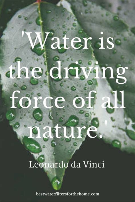 53 Water Reflection Quotes That Will Enlighten You Artofit