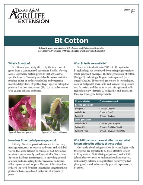 Pdf Bt Cotton Fact Sheet