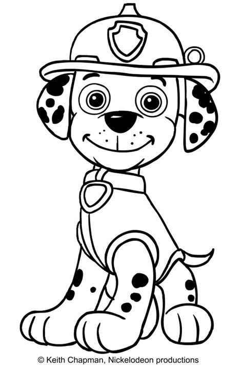 This is why these paw patrol coloring pages are an ideal option for kids looking to have a bit of fun while whether it is coloring firedog marshall or ryder, there is something for everyone and this is what will stand out as soon as it is time to start coloring. Rocky Paw Patrol Coloring Pages at GetColorings.com | Free printable colorings pages to print ...