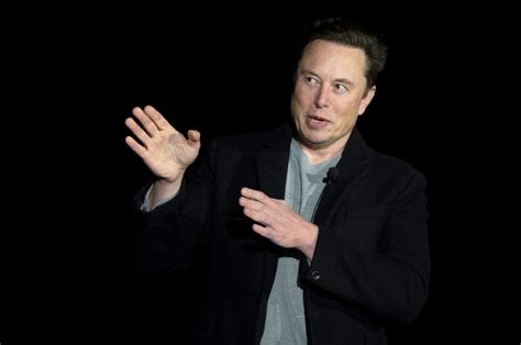 musk says will restore suspended twitter accounts of journalists ibtimes