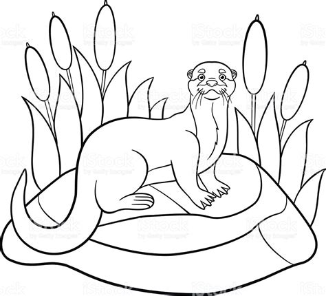 River Otter Coloring Pages Coloring Pages