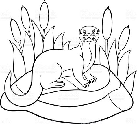 River Otter Coloring Page At Free Printable