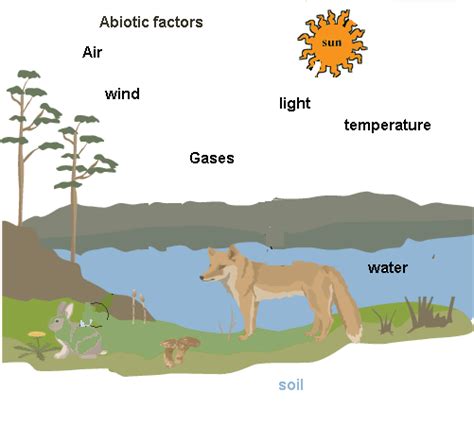 Abiotic And Biotic Components The Arctic Wolf