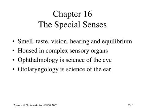 Ppt Chapter 16 The Special Senses Powerpoint Presentation Free