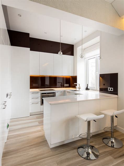 Best Small Modern Kitchen Design Ideas And Remodel Pictures Houzz