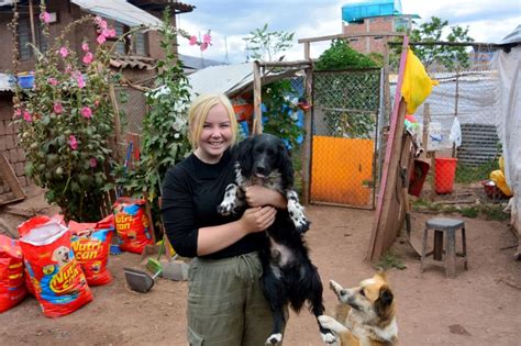 Opvang Voor Straathonden In Peru Het Andere Reizen