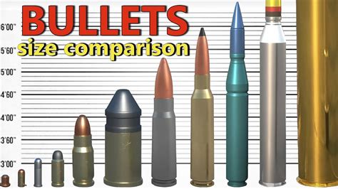Bullets And Shells Size Comparison From The Smallest Bullet To The