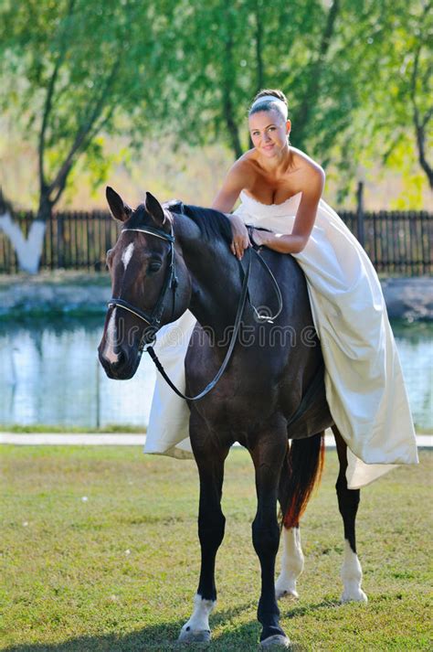 Also, find more png about free smiling horse png. Portrait Of Beautiful Bride With Horse Royalty Free Stock Photography - Image: 28127297