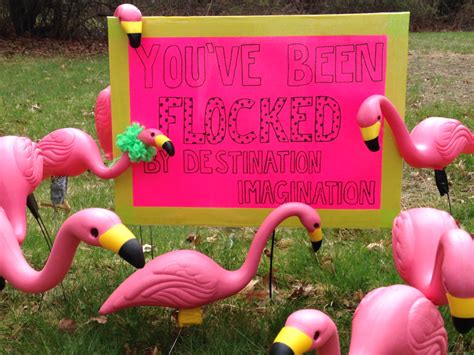 Flamingo Flocking Fundraiser For A Good Cause