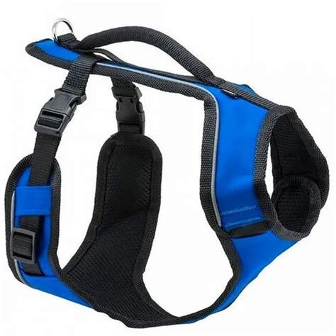 Fancy Dog Harness At Rs 200piece Dog Harness In Kanpur Id 22819461855