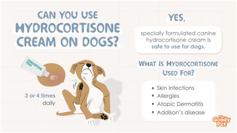 Can You Use Hydrocortisone Cream On Dogs Is It Safe The Goody Pet