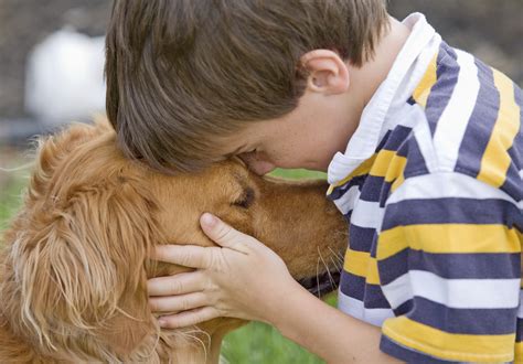 Introducing a new puppy, especially to toddlers, should be done with care to avoid injury to either your children or the puppy. Pets help autistic kids improve social skills - CBS News