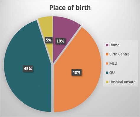 Making A Difference To Birth Evaluating The Real Birth Companys Birth