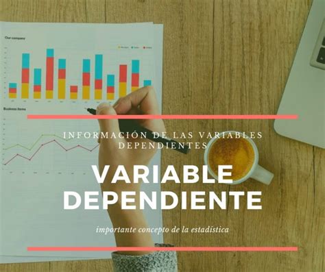 Variable Dependiente Definición Clasificación E Importancia Web Y
