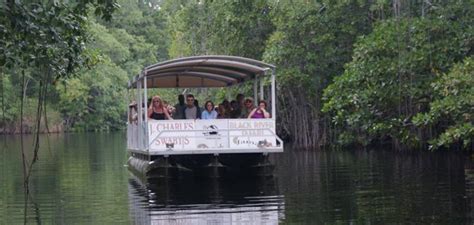 Black River Safari Moon Jamaica