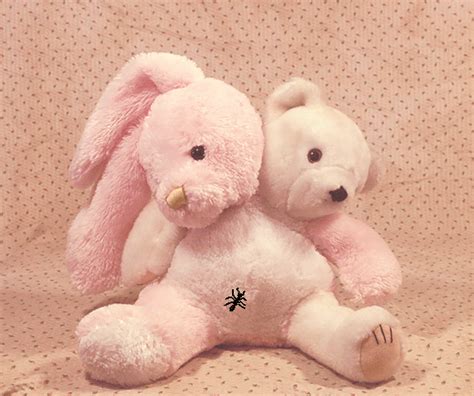 Honeylambs “custom Bunnybear Conjoined Twins ♡ ” Creepy Toys Creepy