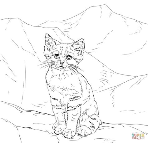 I created four flower ones and a heart one. Sand Cat Kitten | Super Coloring | Kittens coloring, Cat ...