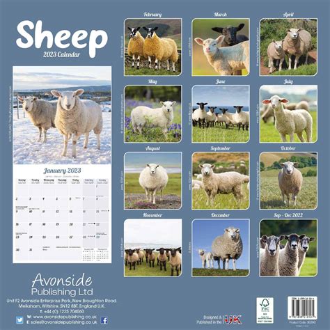 Sheep Calendar Animal Calendars Pet Prints Inc