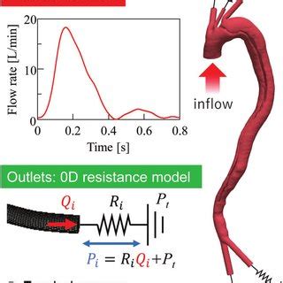 Procedural Steps For Patient Specific Computational Fluid Dynamics