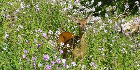 Interurban Trail Travel Wisconsin