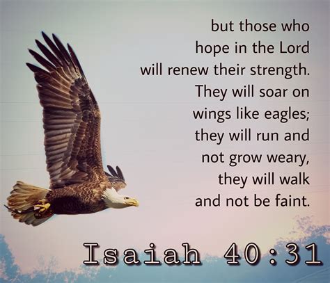 Biblequotes But Those Who Hope In The Lord Will Renew Their Strength