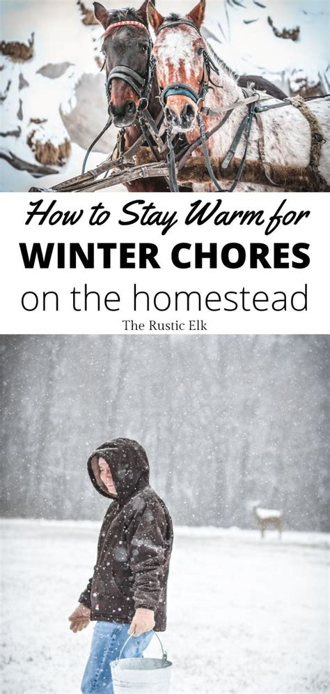 How To Stay Warm For Winter Homestead Chores Homesteading Stay Warm