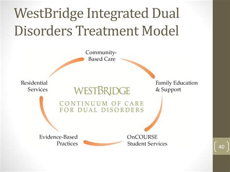 Ppt Advances In Integrated Dual Disorders Treatment Powerpoint Presentation Id1596249