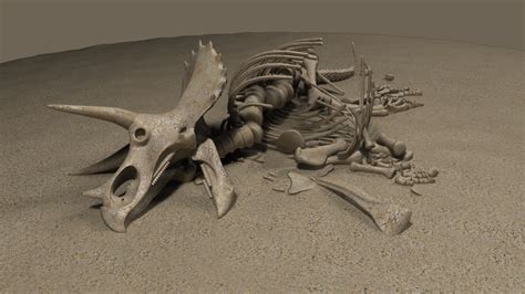 Triceratops Bones 3d Model Turbosquid 1503018