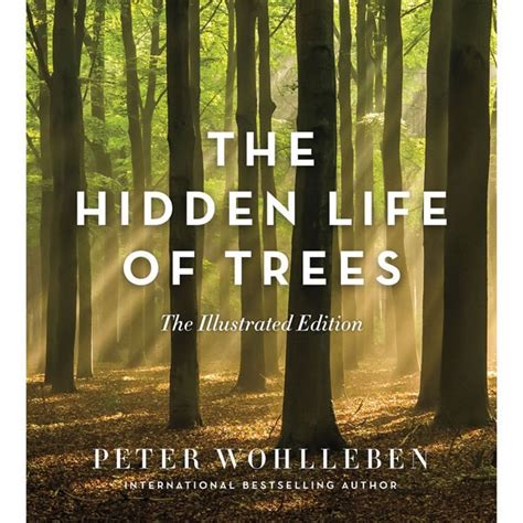 The Hidden Life Of Trees The Illustrated Edition Daedalus Books