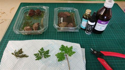 Check spelling or type a new query. Preserving Plants with Glycerine (Frugal Wargames Foliage ...