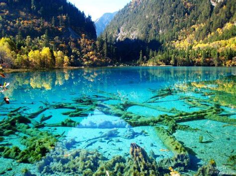 Crystalline Turquoise Lake Jiuzhaigou National Park China 1366×1024