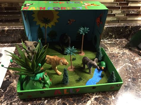 Allys Tropical Rainforest Biome Project For School Diorama Kids