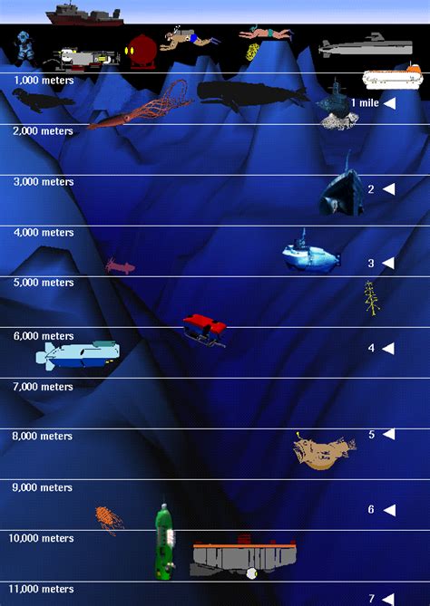Ocean Planethow Deep Oceanography Ocean Ocean Projects