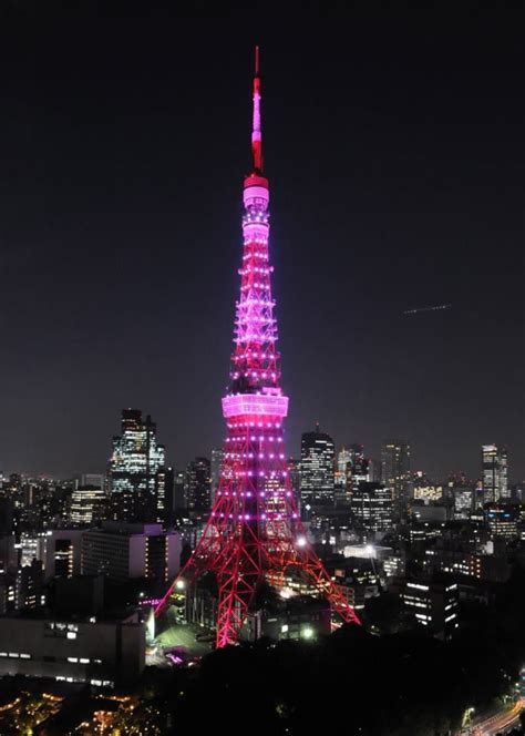 Pink Ribbon Tokyo Tower 東京タワー ほん