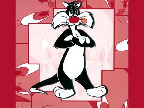 Free Download Sylvester The Cat Wallpaper Wallpaper 6 1024x768 For