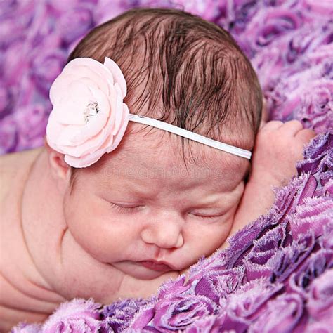 Portrait Of A Beautiful Newborn Baby Girl Stock Photo Image Of