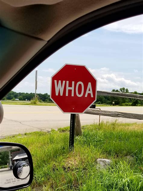 This Stop Sign Says Whoa Instead Of Stop Mildlyinteresting