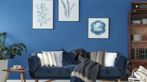 Vancouver Island Inspiring 2020s Top Interior Paint Colors Moloney