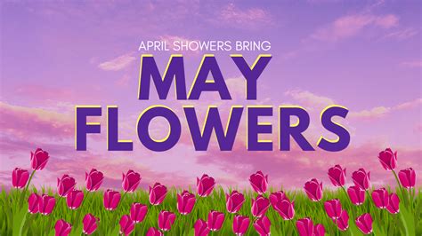 April Showers Bring May Flowers — A Blog By Jalyssa Doubleu